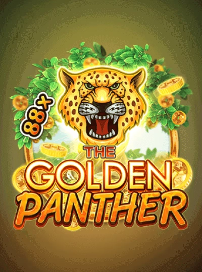 Live Teen Patti game cover